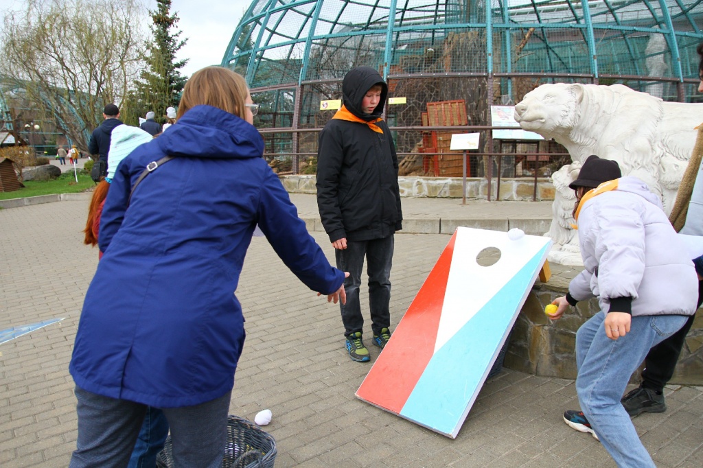 ������� ��������CAMC7962.jpg